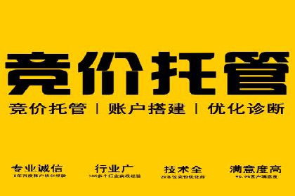 百度推广服务费案例：让品牌快速崛起的秘诀